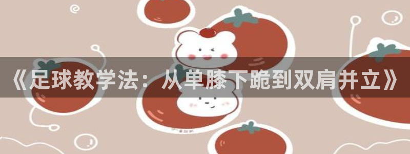 蓝鲸体育客服：《足球教学法：从单膝下跪到双肩并立》
