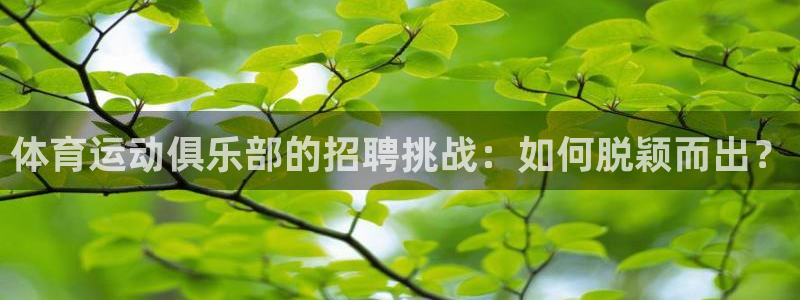 蓝鲸体育篮球直播：体育运动俱乐部的招聘挑战：如何脱颖而出？