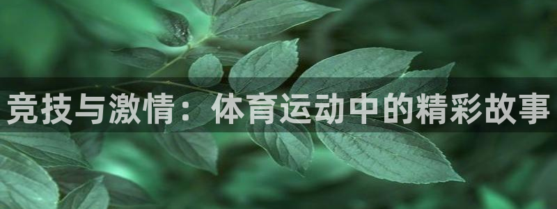 蓝鲸体育app官网下载安装：竞技与激情：体育运动中的精彩故事