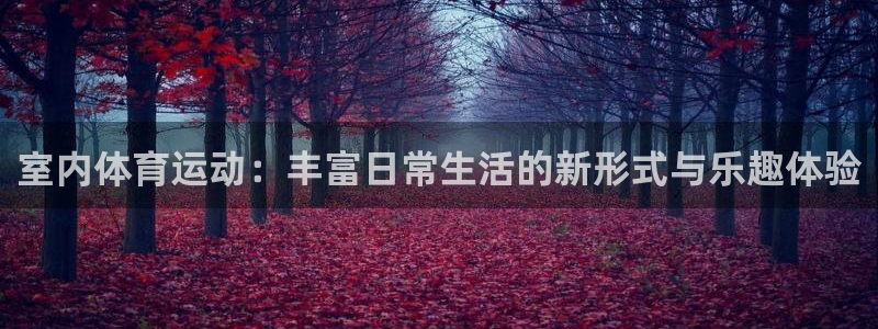 蓝鲸体育网球直播：室内体育运动：丰富日常生活的新形式与乐趣体验