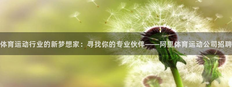 蓝鲸体育在线观看：体育运动行业的新梦想家：寻找你的专业伙伴——阿里体育运动公司招聘