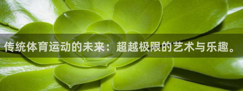 蓝鲸体育运动中心 贵阳：传统体育运动的未来：超越极限的艺术与乐趣。