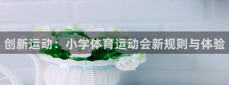 蓝鲸体育app官方下载：创新运动：小学体育运动会新规则与体验