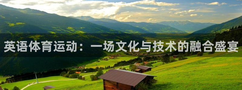 蓝鲸体育篮球直播：英语体育运动：一场文化与技术的融合盛宴