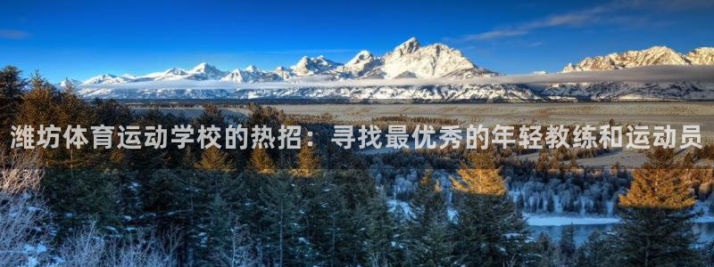 蓝鲸体育和准者体育哪个好：潍坊体育运动学校的热招：寻找最优秀的年轻教练和运动员