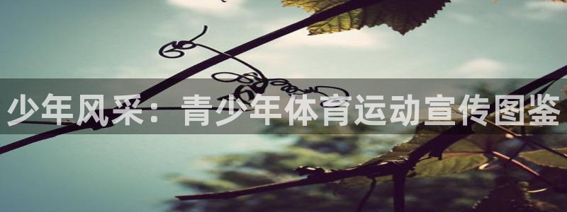 蓝鲸体育在哪里下：少年风采：青少年体育运动宣传图鉴