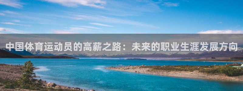 蓝鲸体育官方版：中国体育运动员的高薪之路：未来的职业生涯发展方向