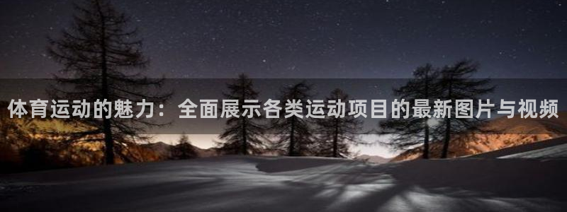 蓝鲸体育篮球：体育运动的魅力：全面展示各类运动项目的最新图片与视频